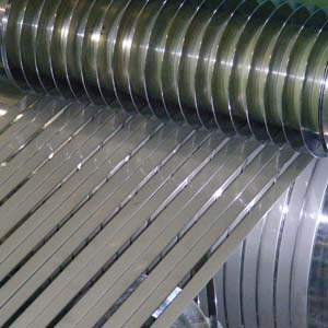 Stainless Steel Strips