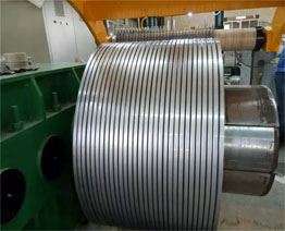 Stainless Steel 310 / 310s Strip Manufacturer in India