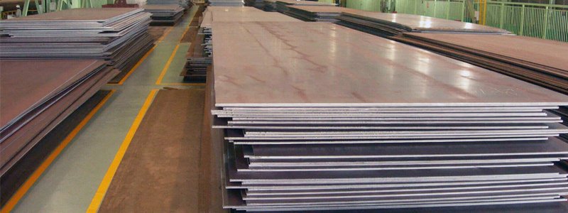 Plate Manufacturer & Supplier in Africa